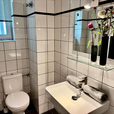 Atemberaubender Rheinblick Messe Apartment *